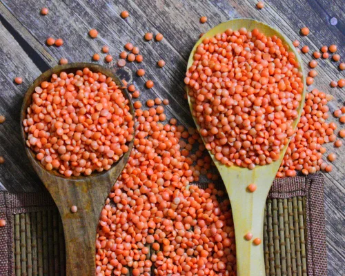 Red Lentil